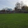 Allen Gardens