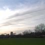 Weavers Fields