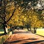 Ravenscourt Park