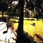 Eel Brook Common