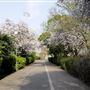 Bishop's Park