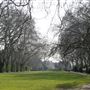 Bishop's Park