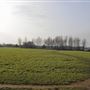 Elthorne Park
