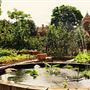 Spitalfields City Farm