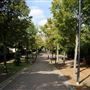 Dock Hill Avenue