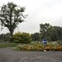 Croydon Cemetery & Crematorium