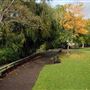 Waddon Ponds