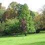 Park Hill Park