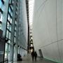 Natural History Museum - Darwin Centre