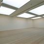 Saatchi Gallery