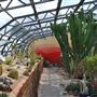 Wolves Lane Horticultural Nursery