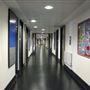 Heartlands High School