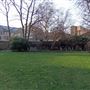 Coram Community Campus