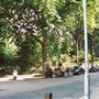 Gordon Square Gardens