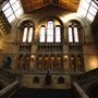 Natural History Museum