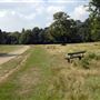 Richmond Park
