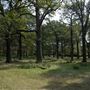 Richmond Park