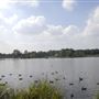 Richmond Park