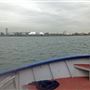 London's Royal Docks - Pontoon Dock