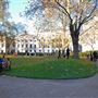 Cavendish Square