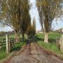 College Farm
