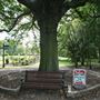 Edgwarebury Park