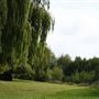 Mayesbrook Park