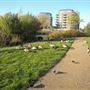 Sutcliffe Park