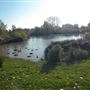 Sutcliffe Park