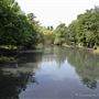 The Tarn