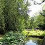 The Tarn