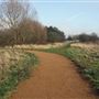 Fairlop Waters