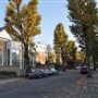 Modern Ealing Houses