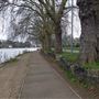 Canbury Gardens