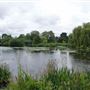 Foots Cray Meadows