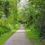 Foots Cray Meadows