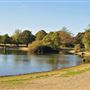 Mitcham Common