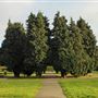 Seven Kings Park