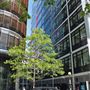 New Street Square