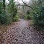 Arrandene Open Space