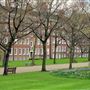 Gray's Inn