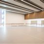 Mulryan Centre for Dance