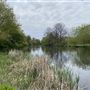 Lamorbey Park