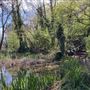 Camley Street Natural Park