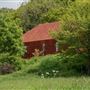 Foxfield Farm