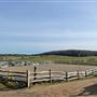 Honeybee Farm