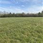 Greenbanks Farm