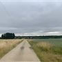 Runaway Farm