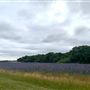 Runaway Farm