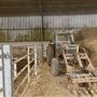 Waddle Farm